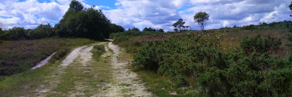 DebChall Profile Banner