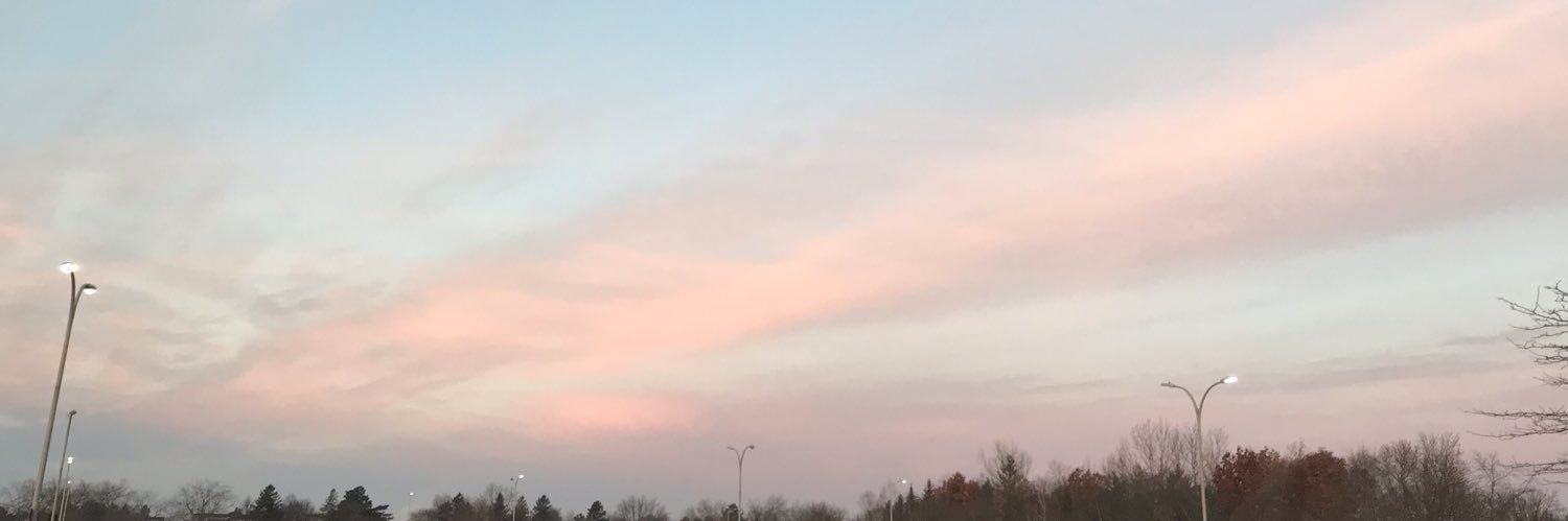 HaileyMeikle's profile banner image