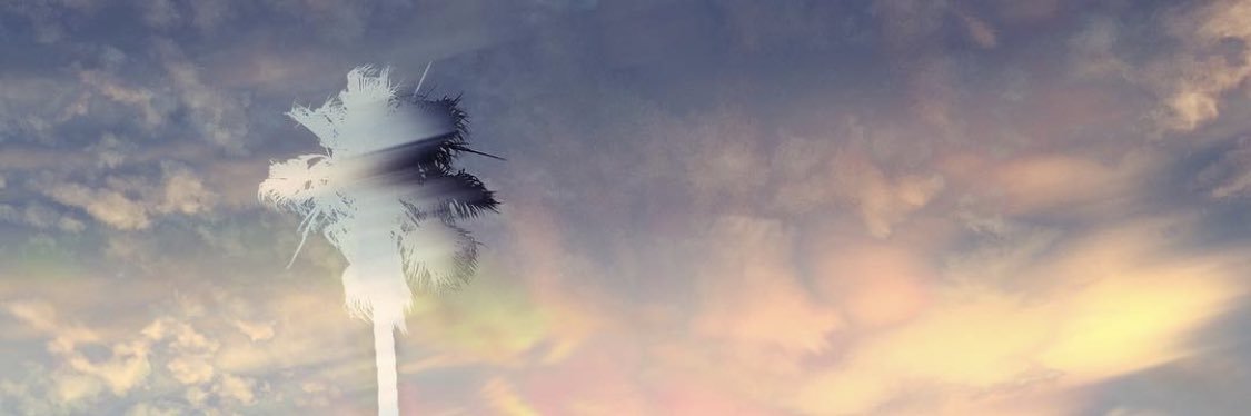holakoala's profile banner image
