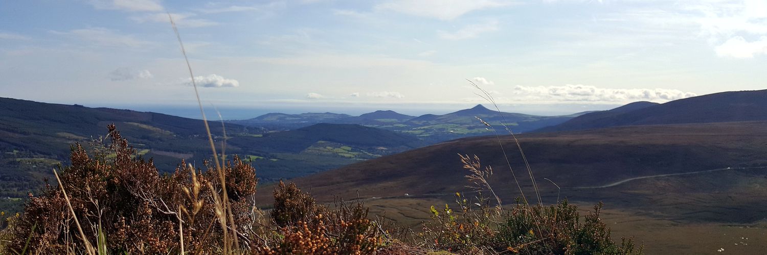 Orex Lumpar 🇮🇪 banner