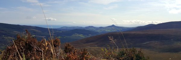 OrexL Profile Banner