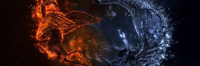 newworldroots's profile banner image