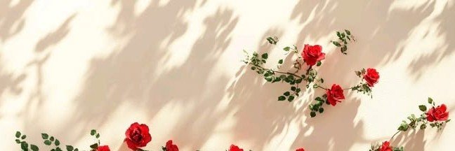 lucyvalenz's profile banner image