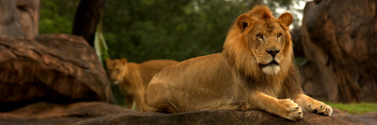 GoodOldAndy's profile banner image