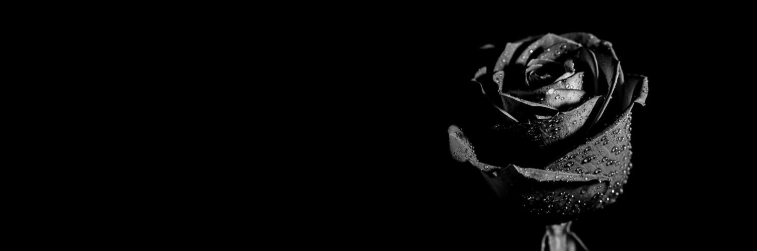 mamatampoco's profile banner image