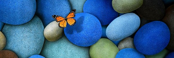 SusMee Profile Banner