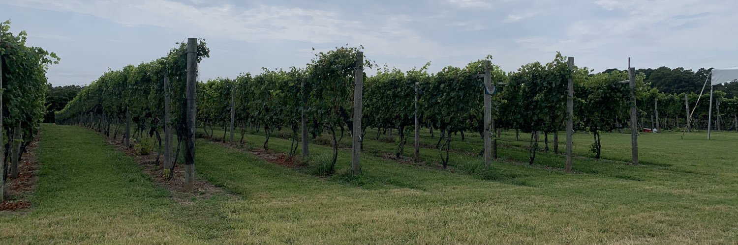 funky flamingo banner