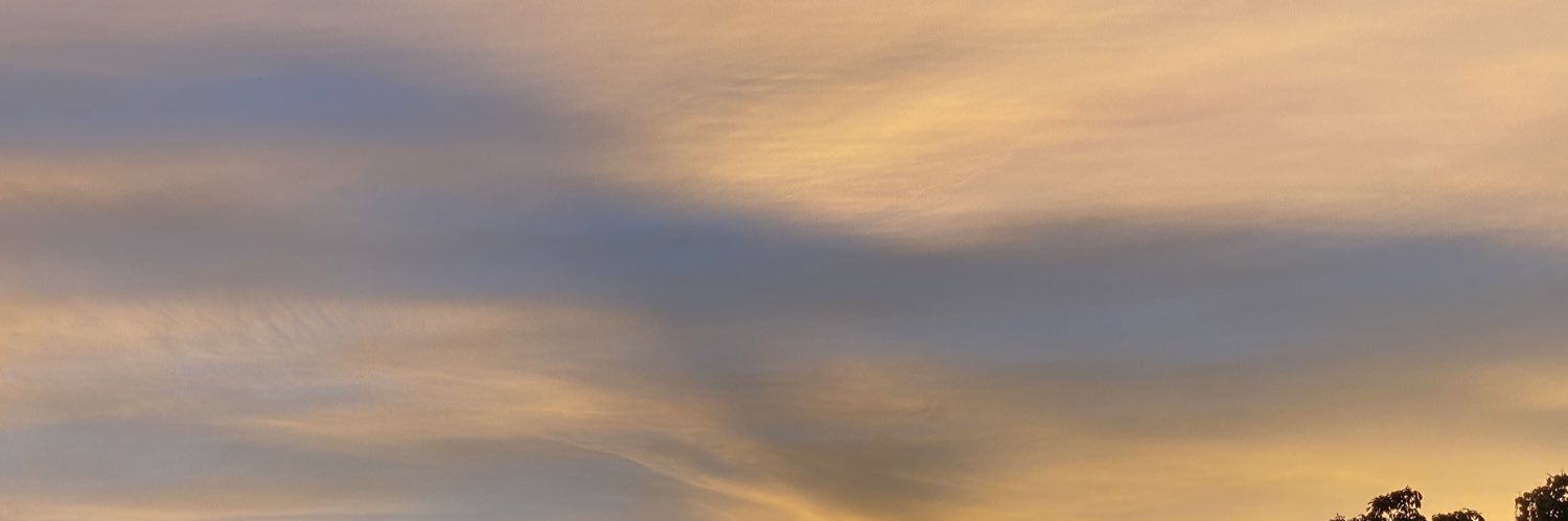 Erik de Cabo López banner