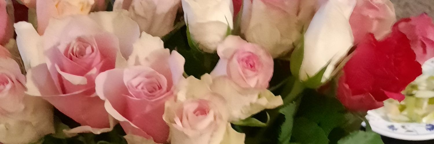 agnesken's profile banner image