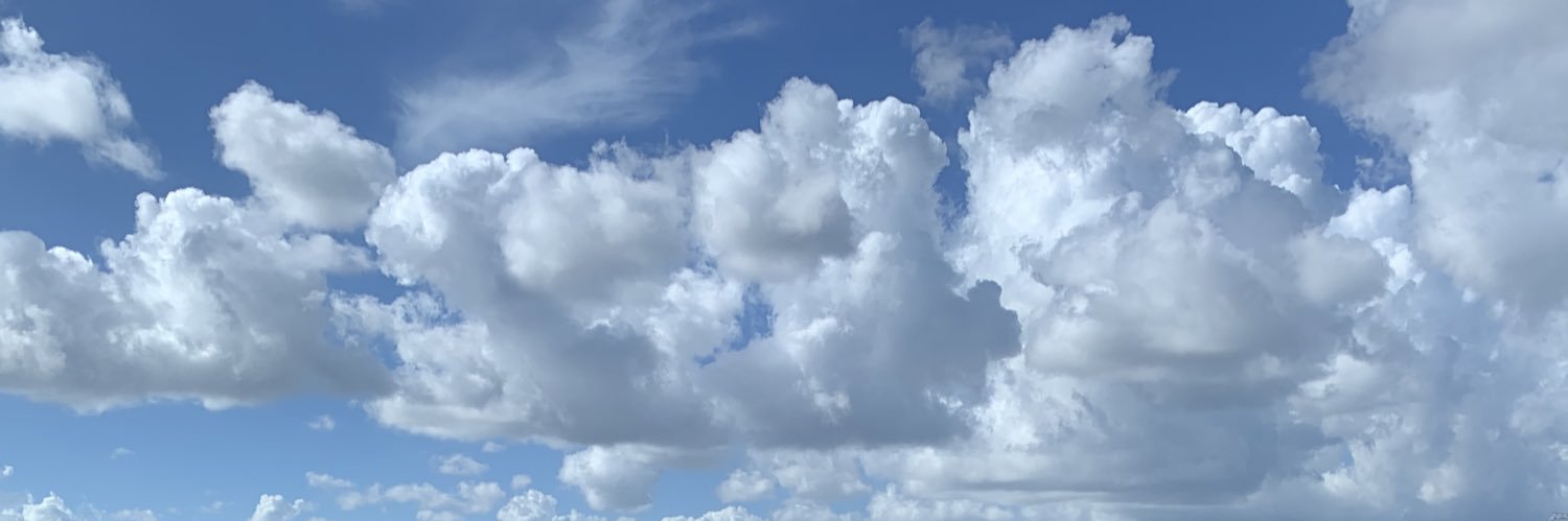 PACHECO, M.S., C.N.P. (he/el) banner