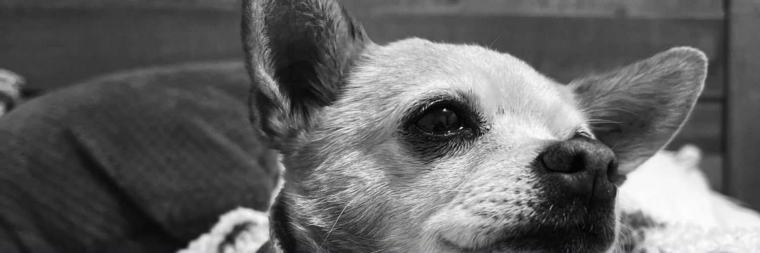 DaisyAcosta_'s profile banner image