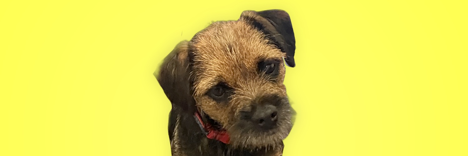 BestKindBetty's profile banner image