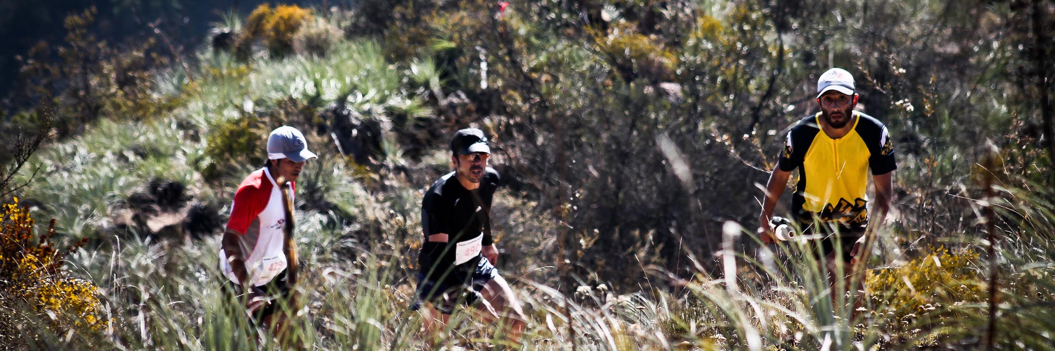 TrailChile banner