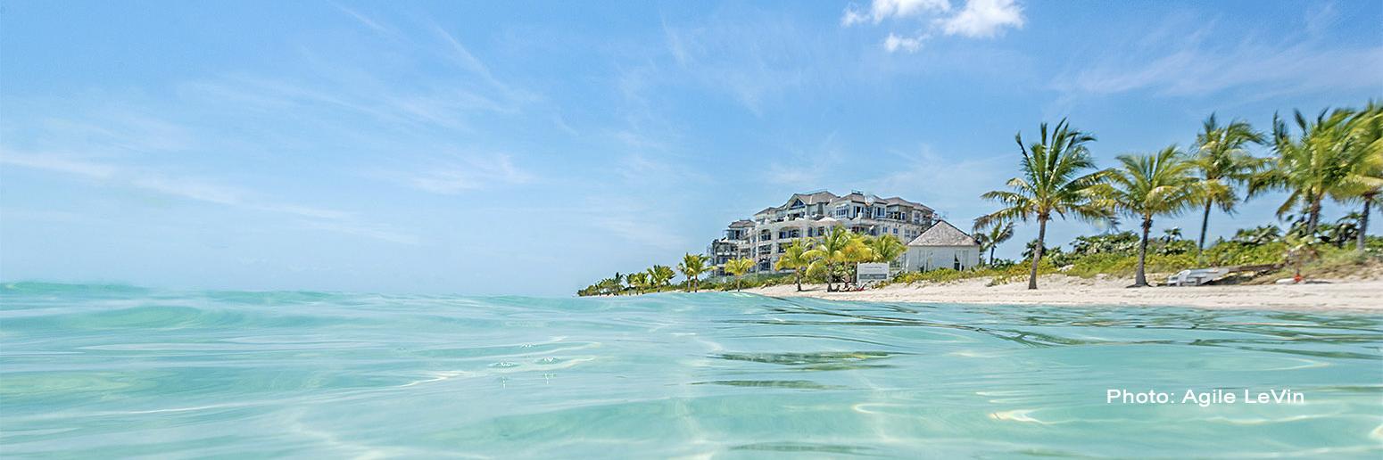 The Shore Club TC banner