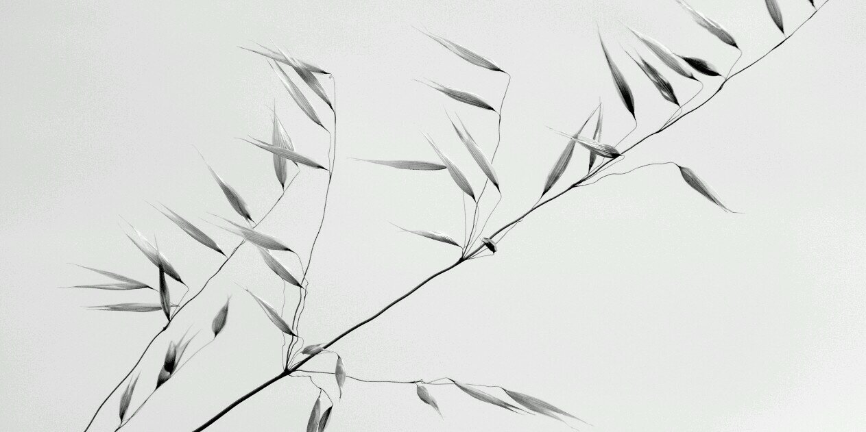 AndromedaChains's profile banner image