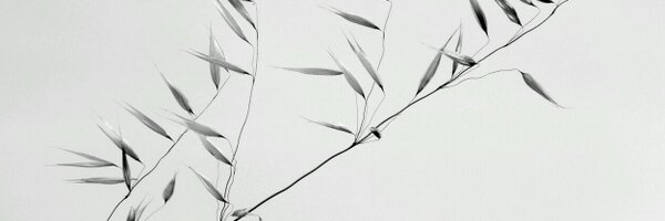 AndromedaChains Profile Banner