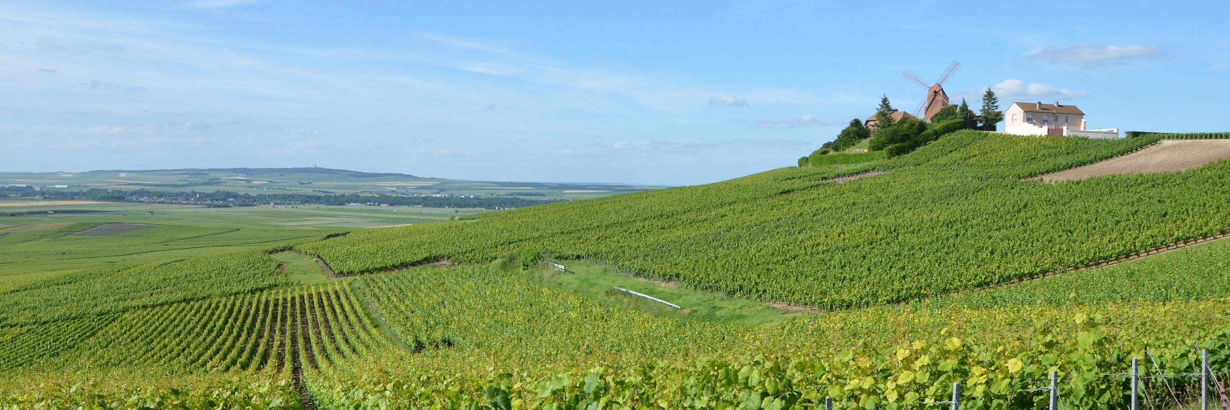 Plus-de-Bulles.com banner