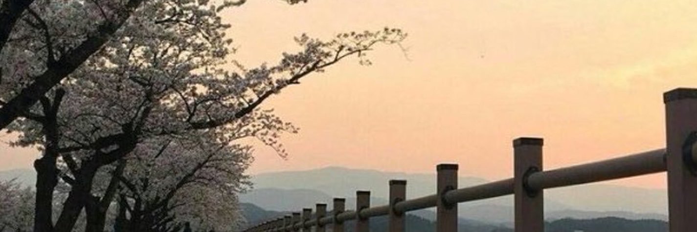 ShelleErilla's profile banner image