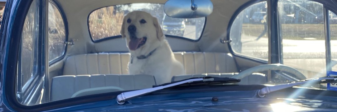 EyeDoctorNYC's profile banner image
