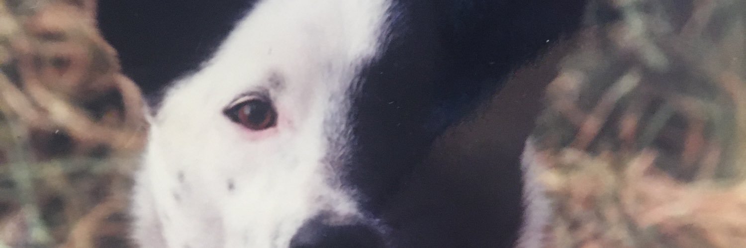 Stan Kitzmann banner