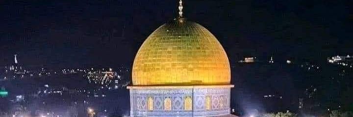 DannyMoharram's profile banner image