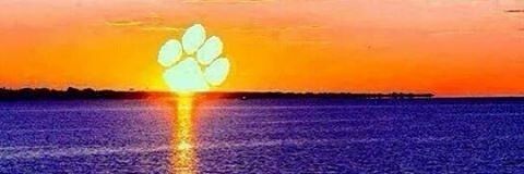 STaylor9416's profile banner image