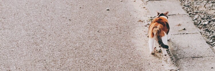 rrrrmk's profile banner image