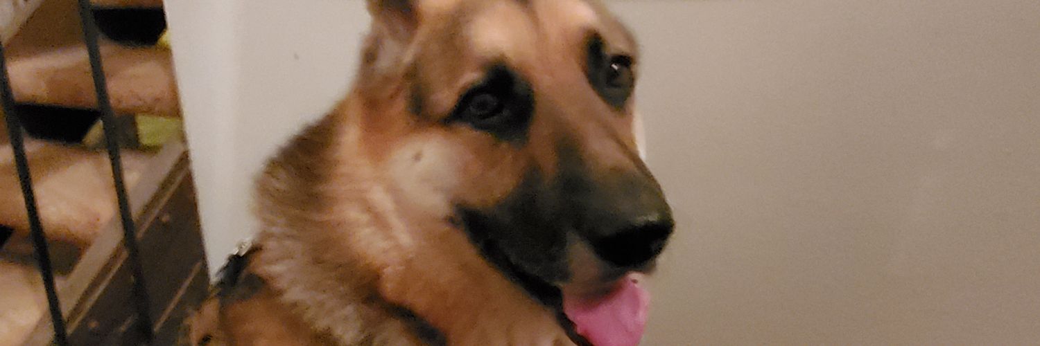 USCkyle's profile banner image