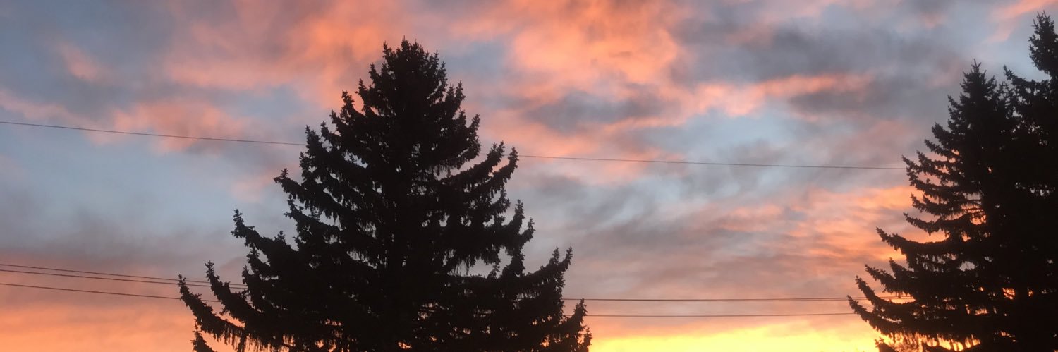 Michelle Lobkowicz banner