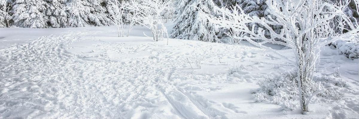 PipocaMix's profile banner image