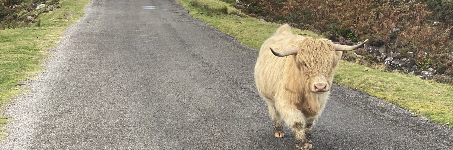 keara farrell banner