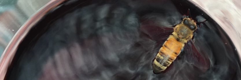 StephLargess's profile banner image