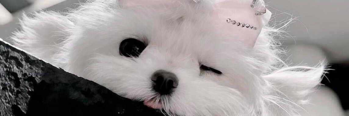 7cloudyun's profile banner image