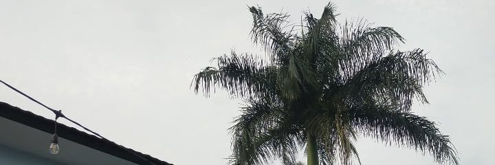 DAfriando's profile banner image