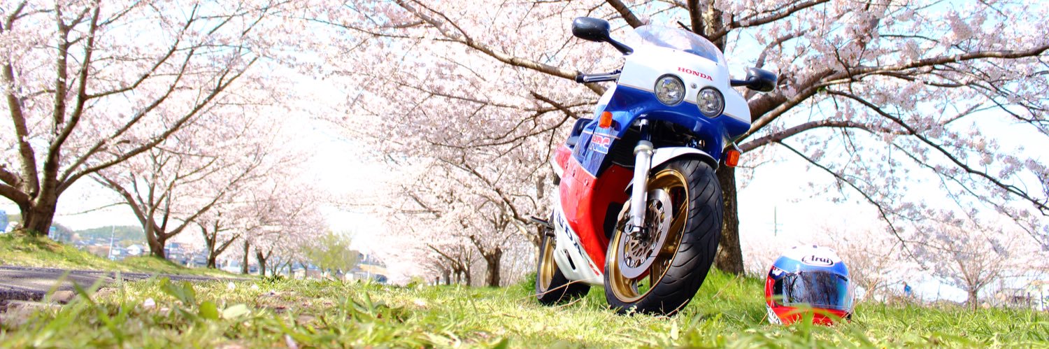 SAMECCHO's profile banner image