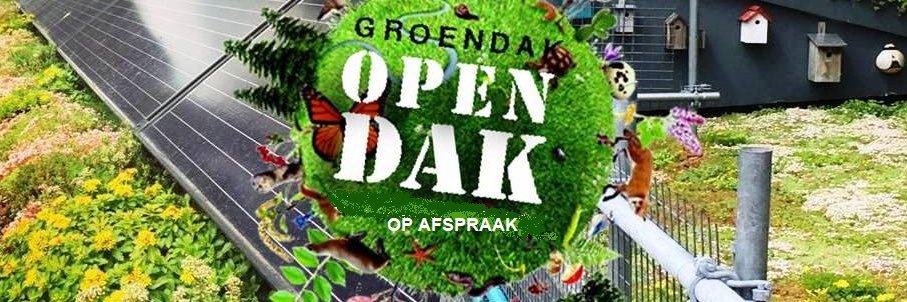 Groendak's profile banner image