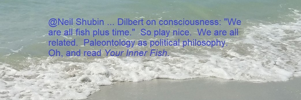 Dry_Tinder2's profile banner image