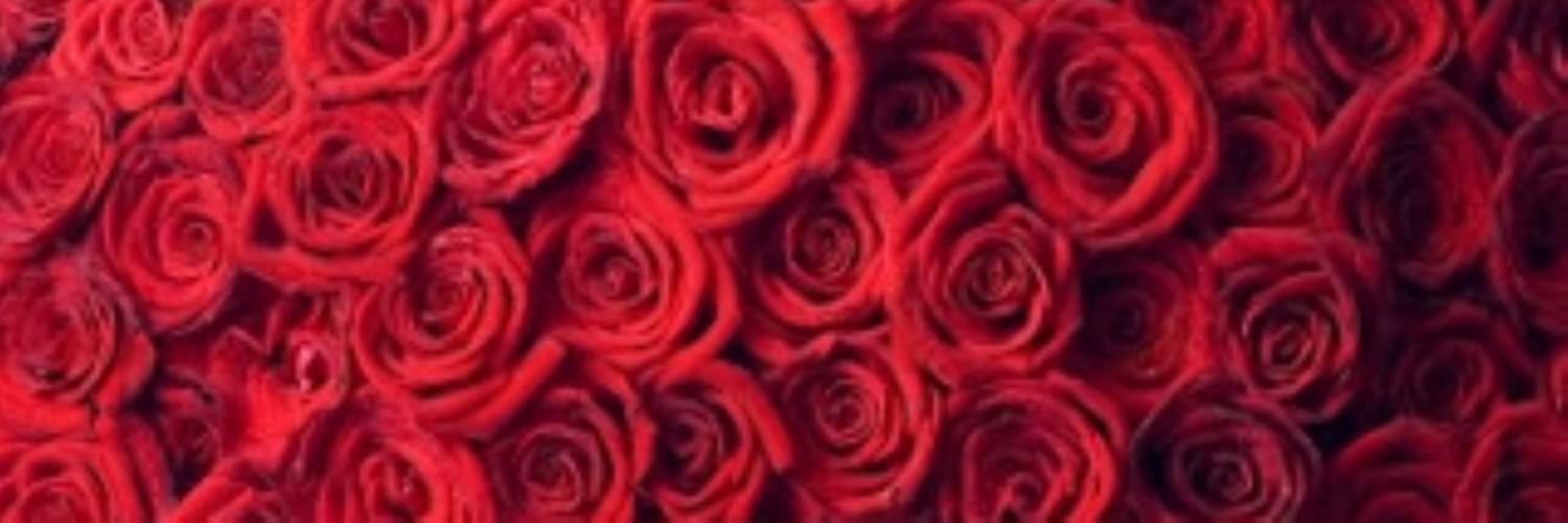 NandaYuliMU's profile banner image