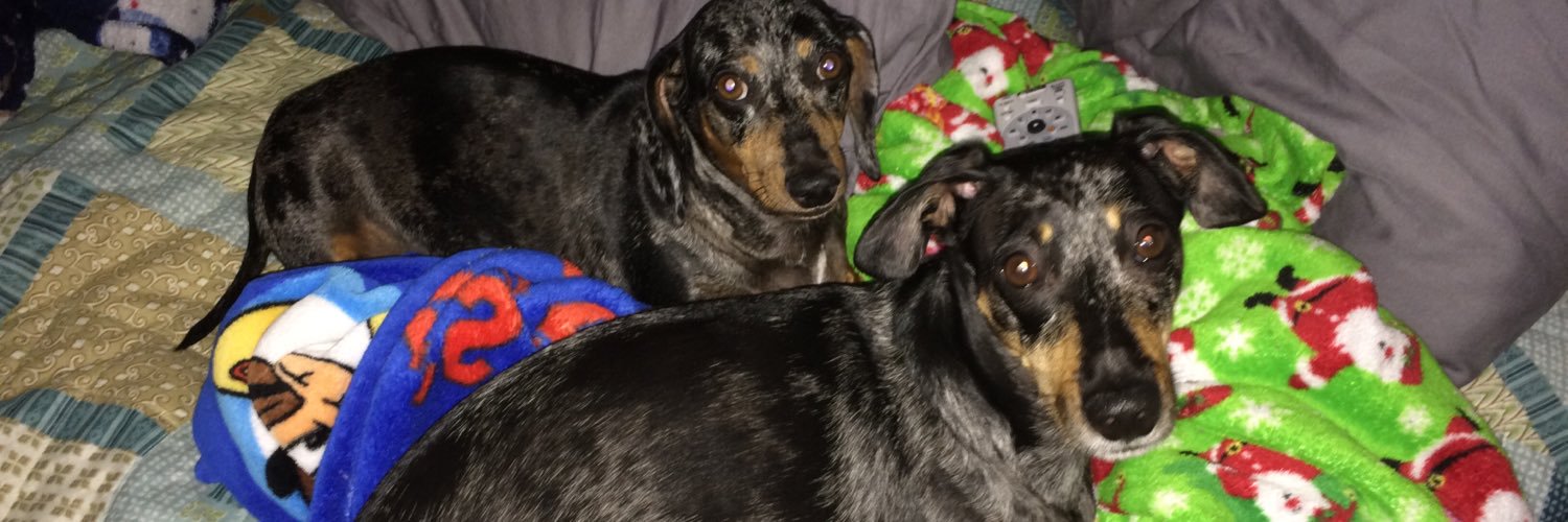 Katerjack13's profile banner image