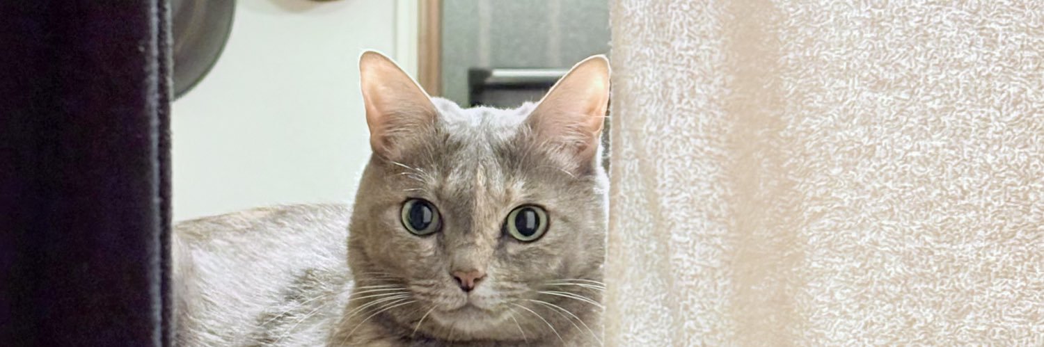 唐揚げの龍太 banner