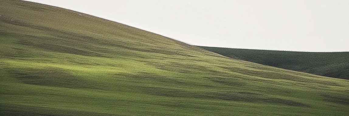 myles banner