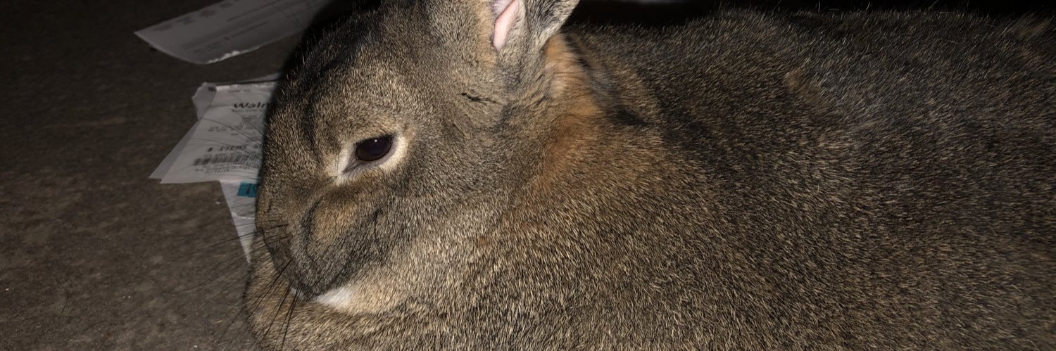 TommyTheLoot 🍺🌊 banner