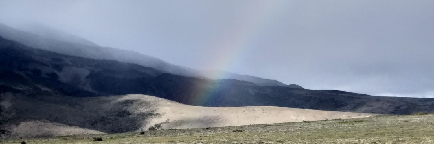 roxanajacho's profile banner image