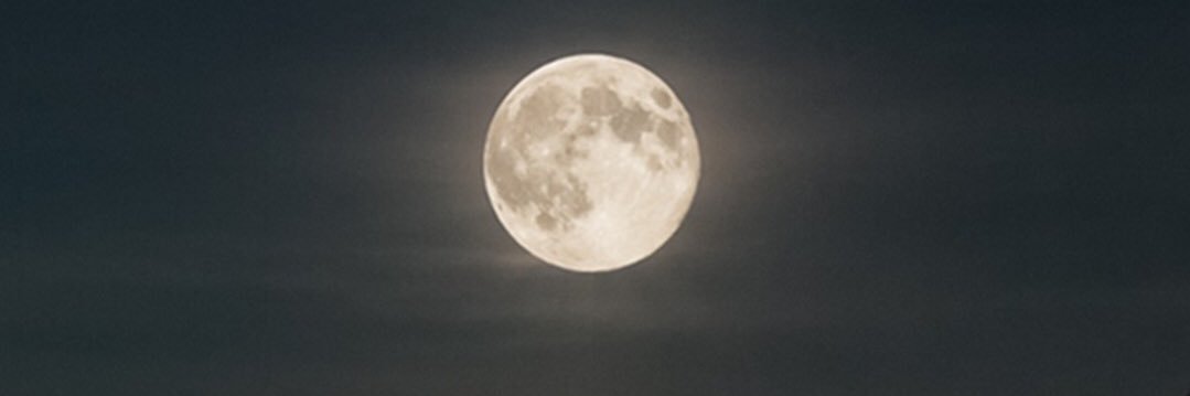 N3392's profile banner image