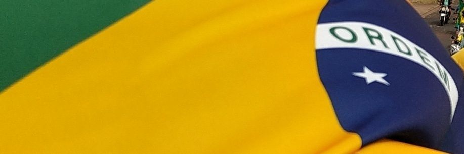 Leonardo banner