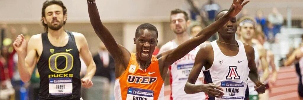 anthonyrotich1's profile banner image