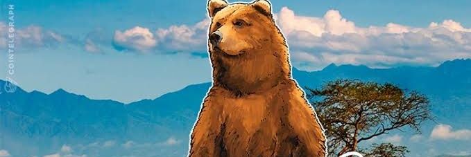 CryptoBearNZ's profile banner image