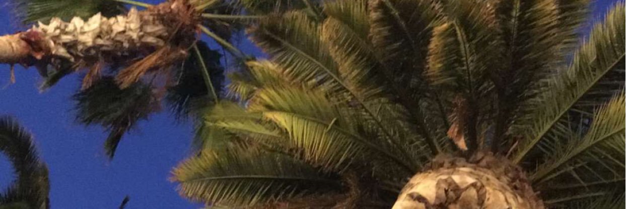 TwlTterLessJaz's profile banner image