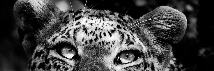 smoha1407's profile banner image
