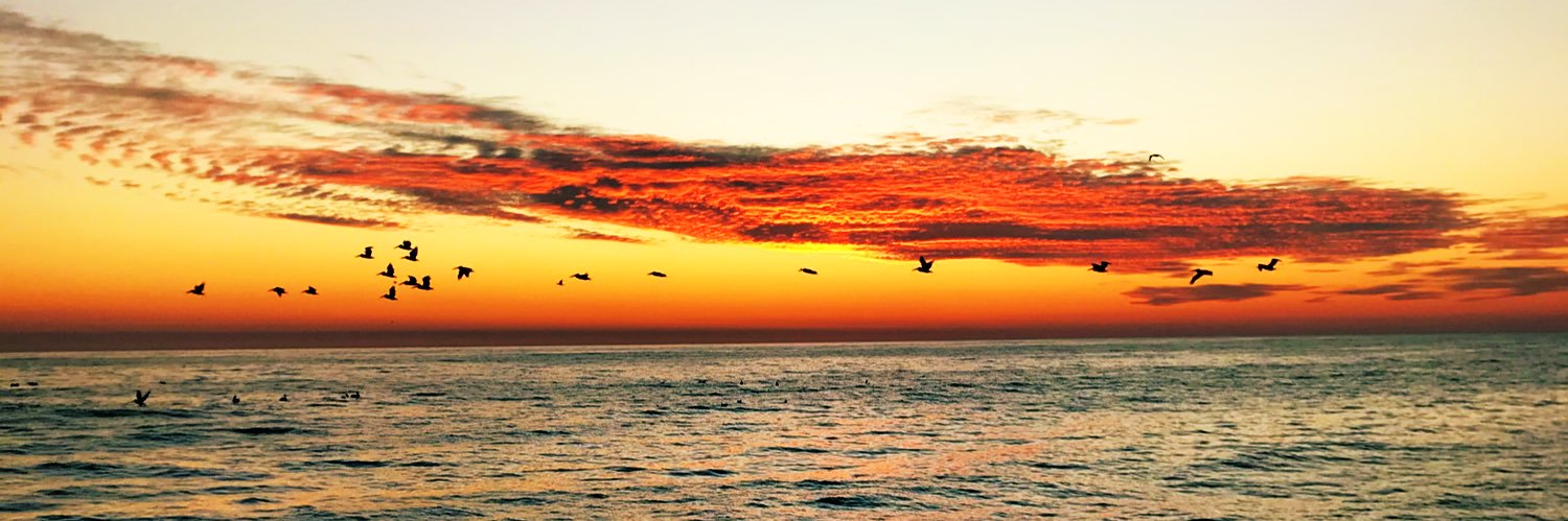 EricTorresC's profile banner image